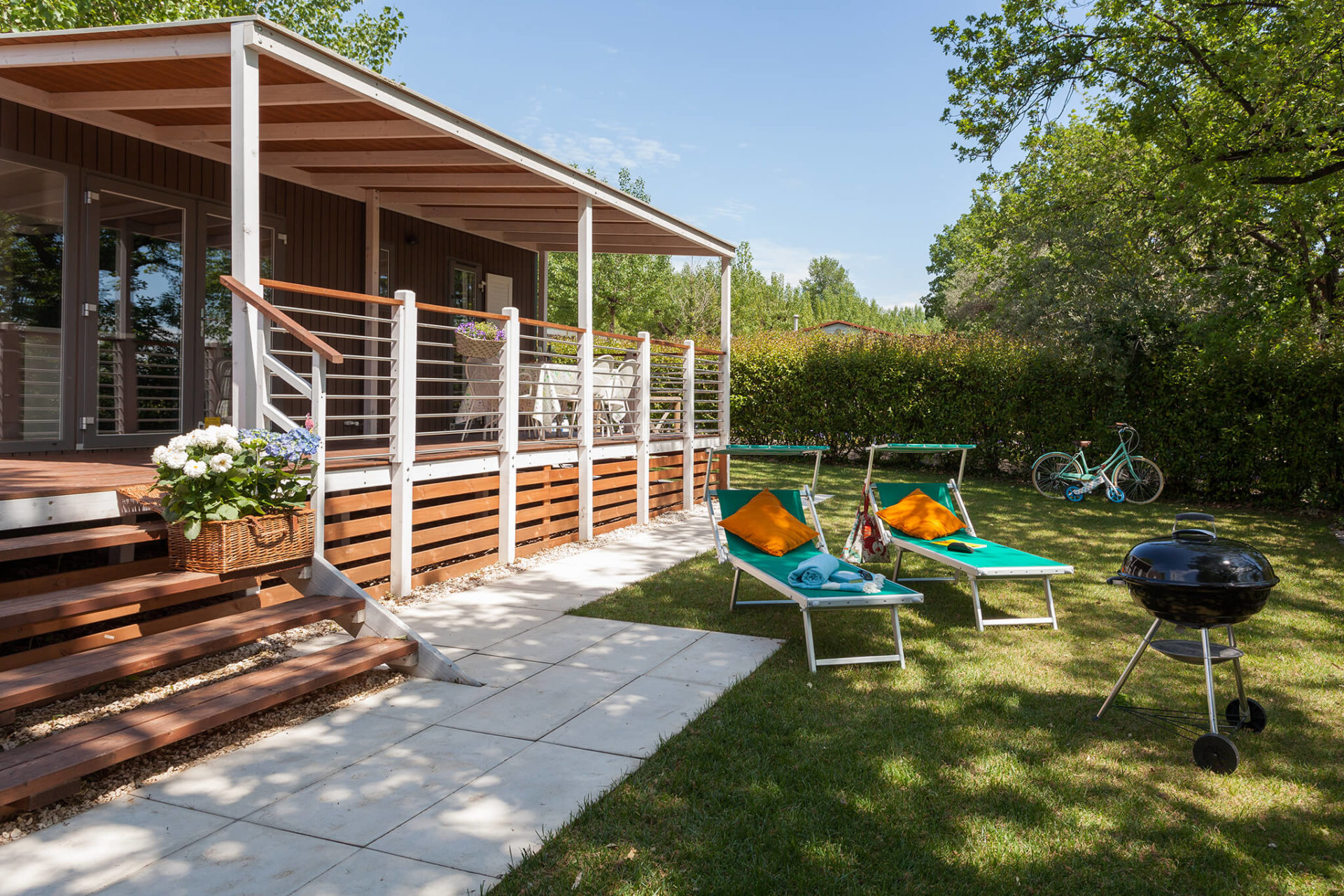 Lake Dream & Olive Grove